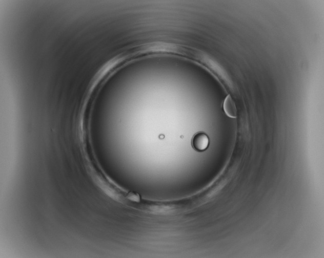 X0000114601082200910191613