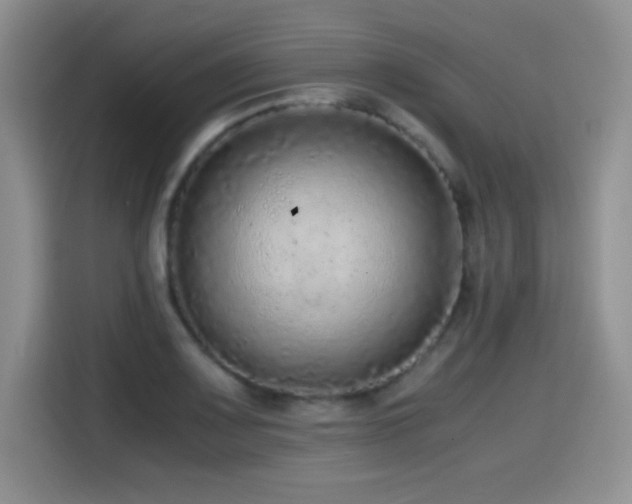 X0000114601083200910191613