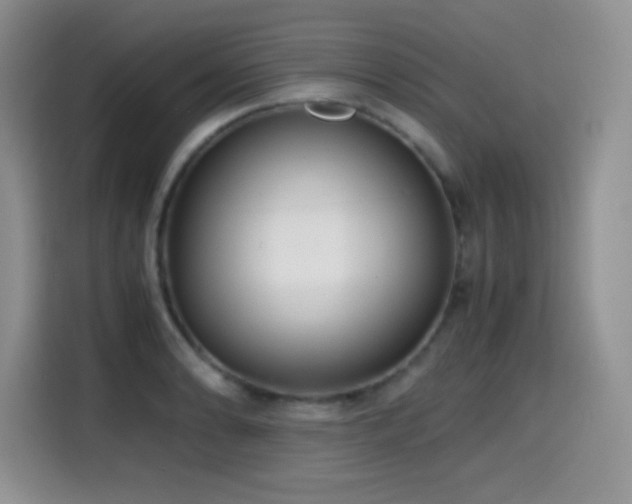 X0000114601086200910191613