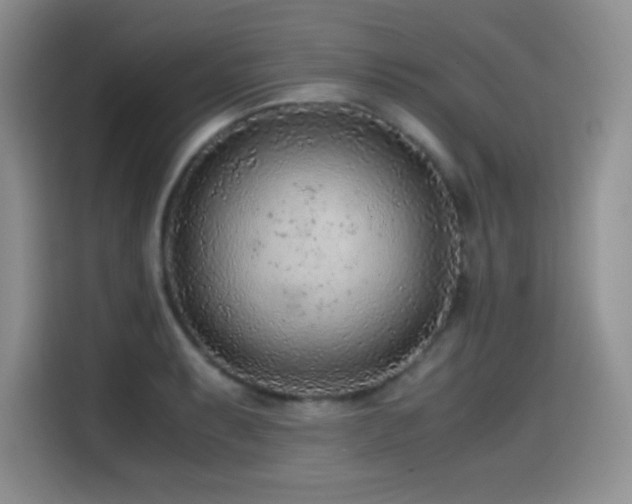 X0000114601087200910191613