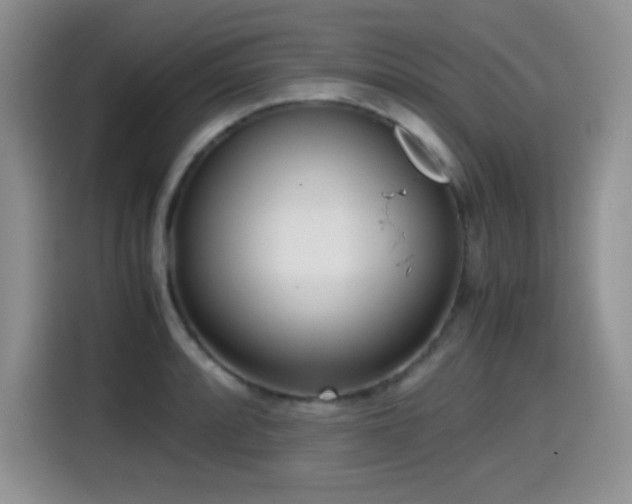 X0000114601088200910191613