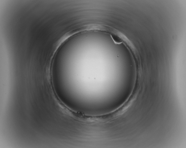 X0000114601089200910191613