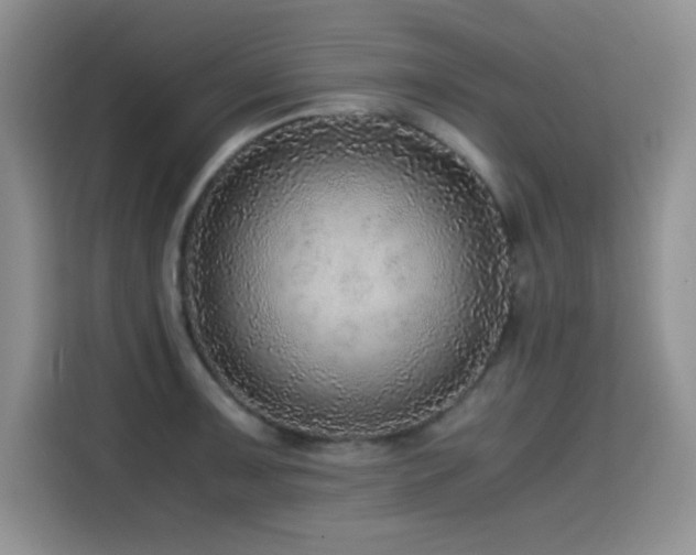 X0000114601091200910191613