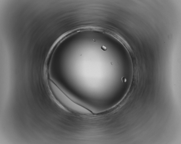 X0000114601092200910191613