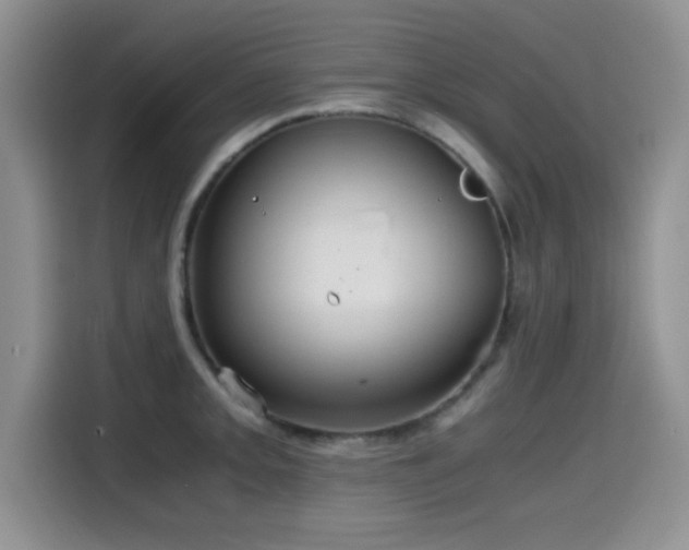 X0000114601093200910191613