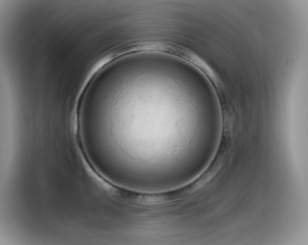 X0000114601095200910191613