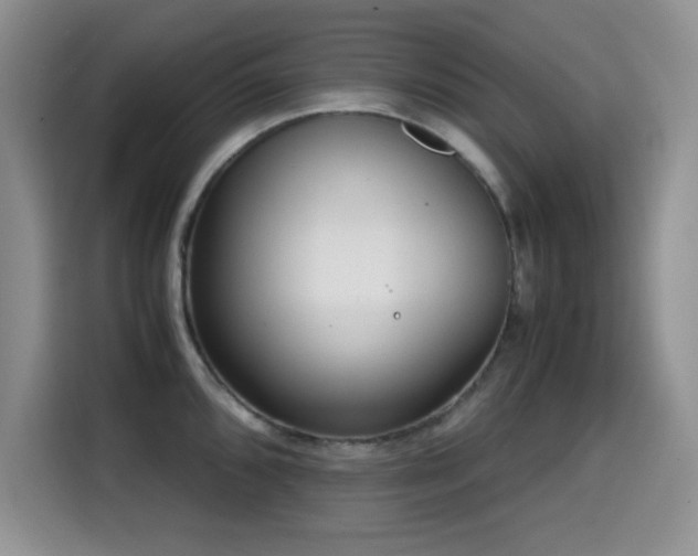 X0000114601096200910191613