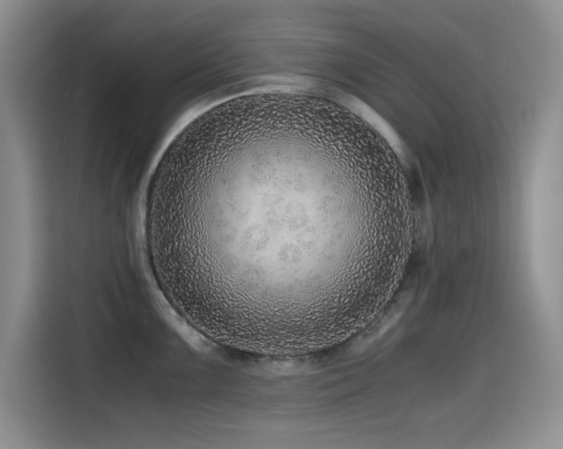 X0000114601099200910191613