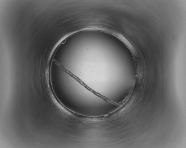 X0000114601100200910191613