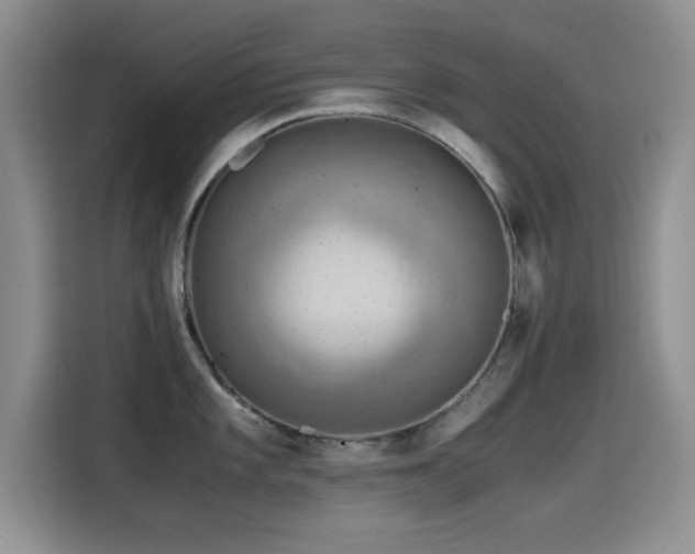 X0000114601101200910191613