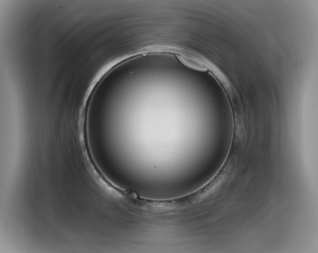 X0000114601102200910191613