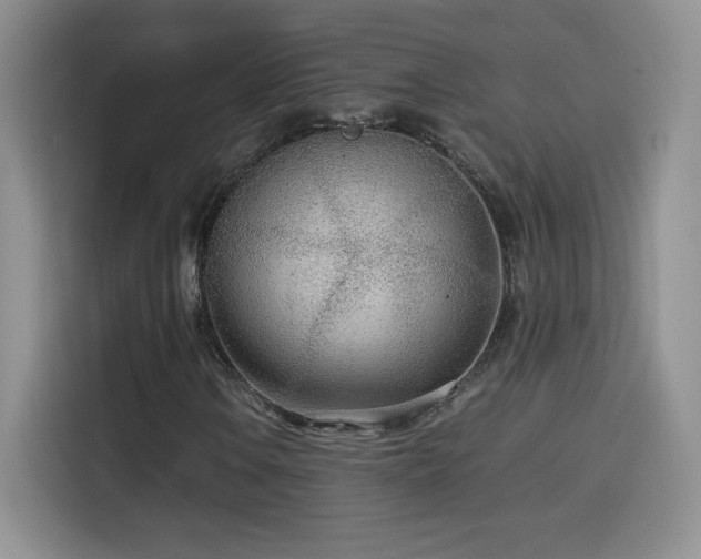 X0000114601106200910191613