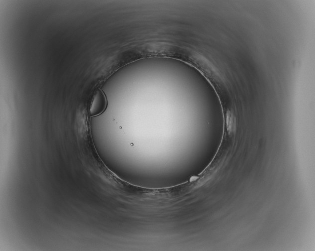 X0000114601107200910191613