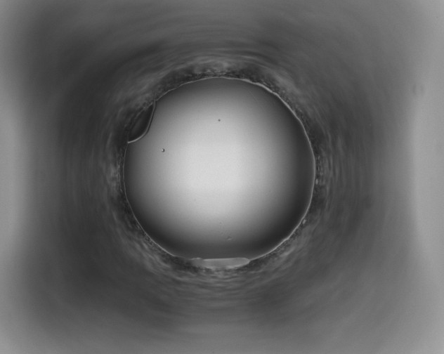 X0000114601109200910191613