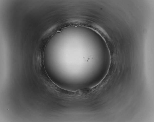 X0000114601111200910191613