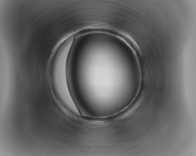 X0000114601114200910191613