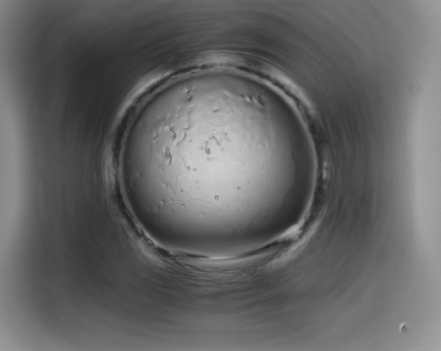 X0000114601117200910191613