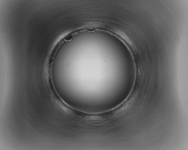 X0000114601119200910191613