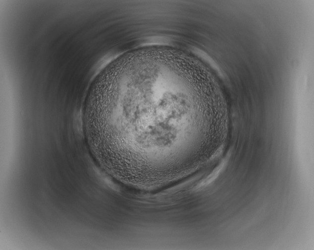 X0000114601121200910191613