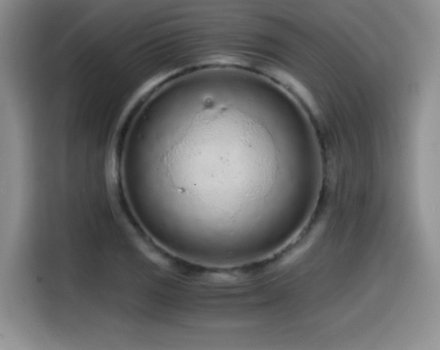 X0000114601125200910191613