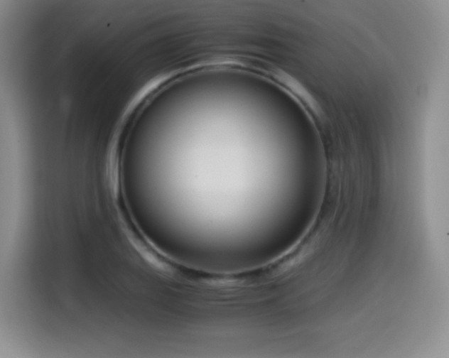 X0000114601127200910191613