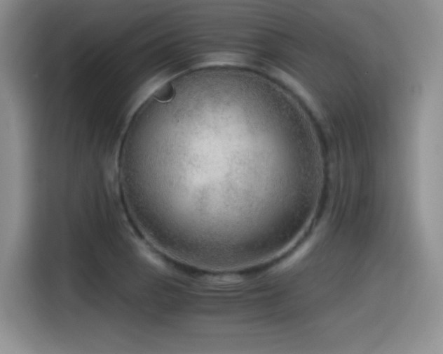 X0000114601129200910191613