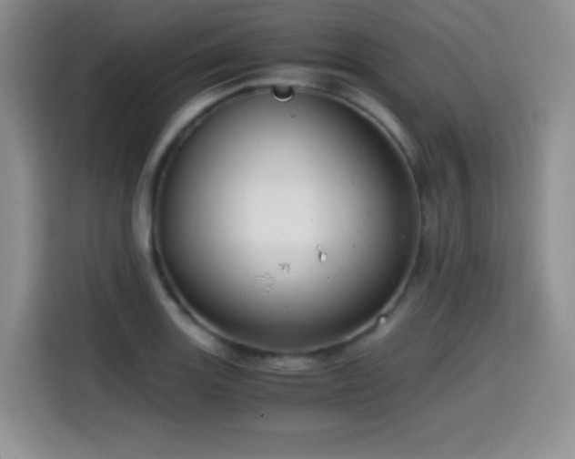 X0000114601131200910191613