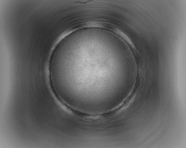 X0000114601133200910191613