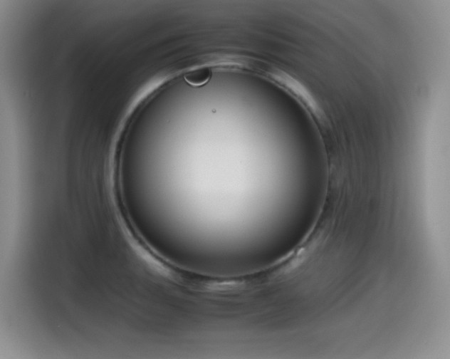 X0000114601135200910191613