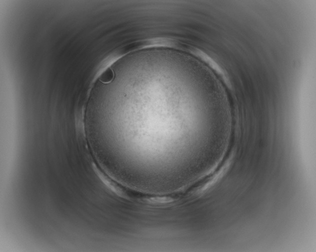 X0000114601137200910191613