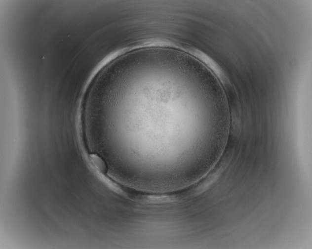 X0000114601142200910191613