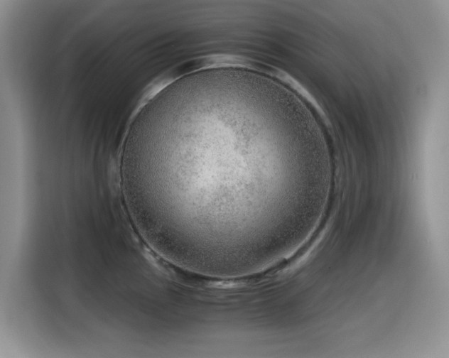 X0000114601145200910191613