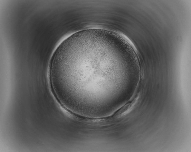 X0000114601149200910191613