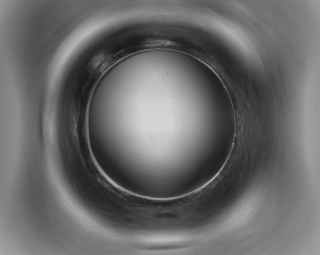 X0000114601151200910191613