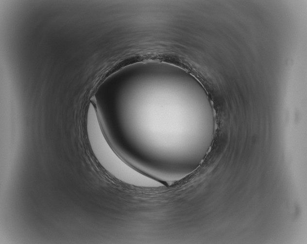 X0000114601153200910191612