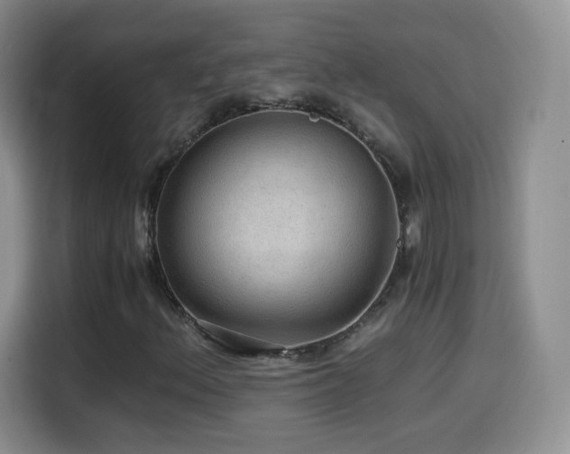 X0000114601156200910191612