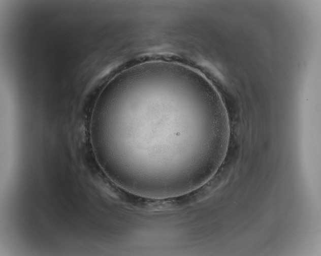 X0000114601159200910191612