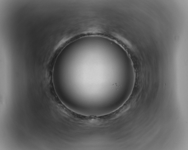 X0000114601160200910191612