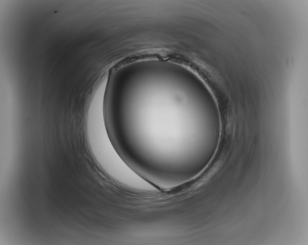 X0000114601161200910191612