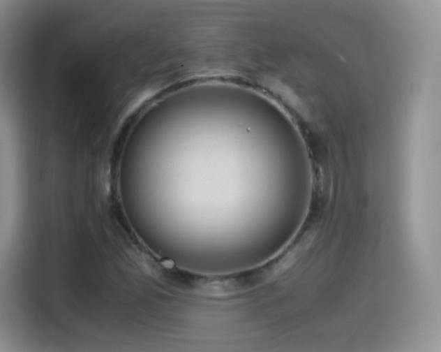 X0000114601165200910191612