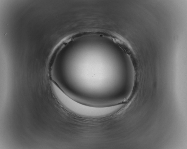 X0000114601167200910191612