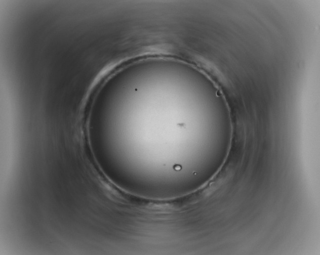 X0000114601168200910191612