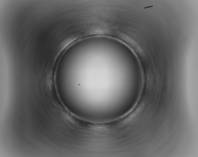 X0000114601170200910191612