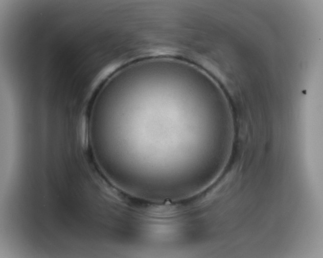 X0000114601171200910191612