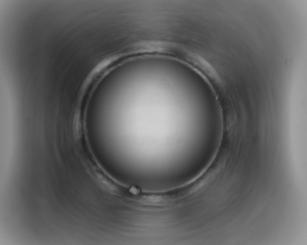 X0000114601172200910191612