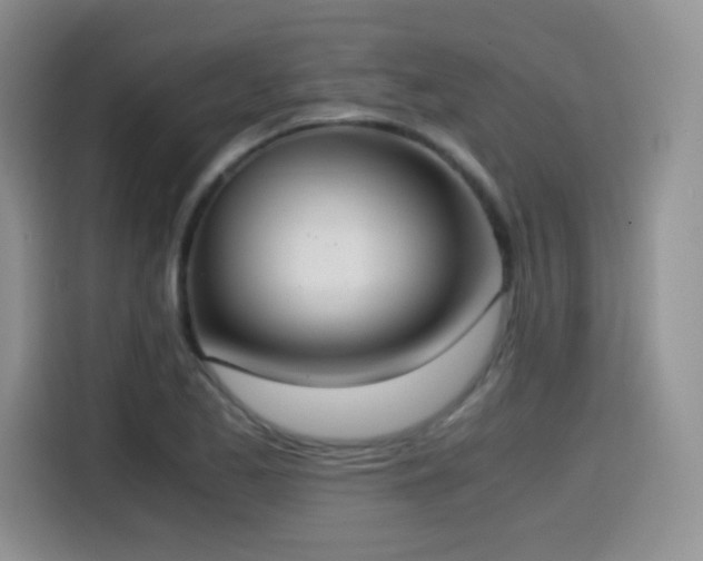 X0000114601173200910191612