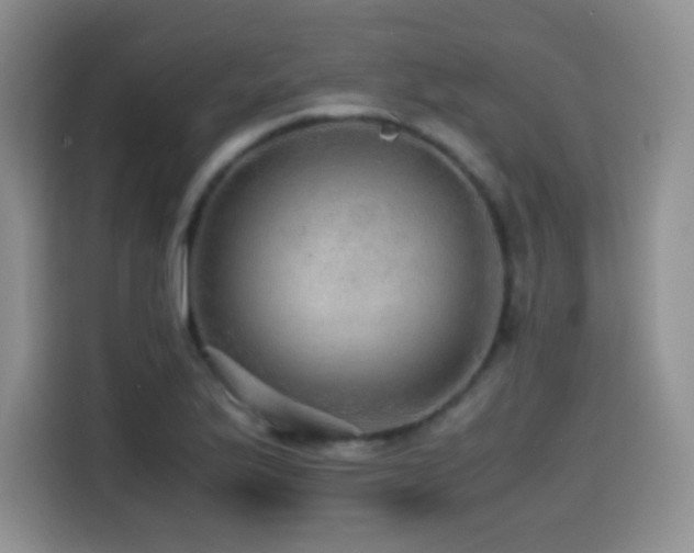 X0000114601175200910191612