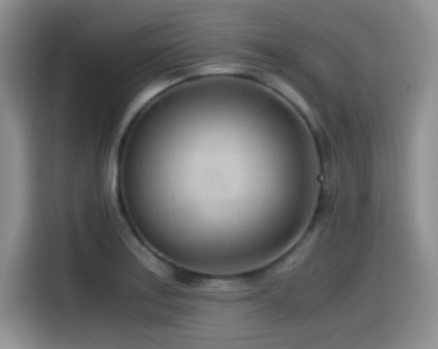 X0000114601179200910191612