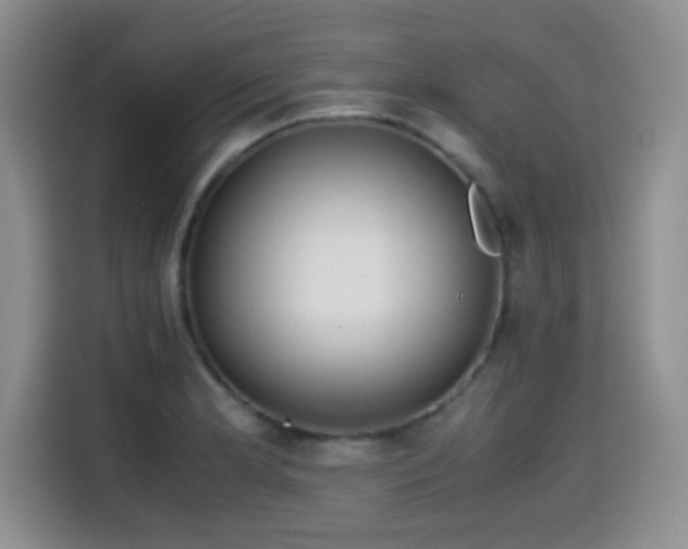 X0000114601181200910191612