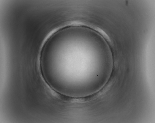 X0000114601183200910191612